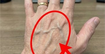 24b8d693 fedf 4fd3 96a8 7a547ab24030 1