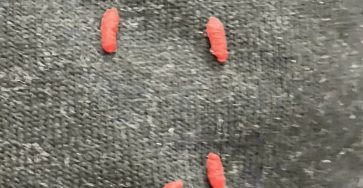 454714962 518340614183094 4570187922054031039 n 768x768 87 1296x1536 1