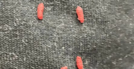 454714962 518340614183094 4570187922054031039 n 768x768 87 1296x1536 1