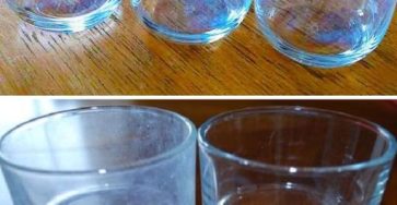 471948565 2303409210044007 3610193365602804226 n