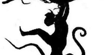 486288809 1063831882448053 6214009974265811328 n