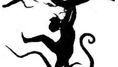 486288809 1063831882448053 6214009974265811328 n