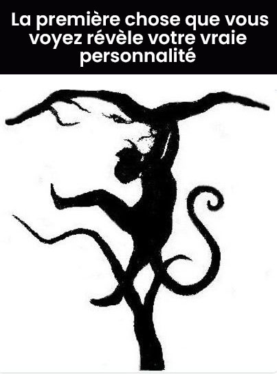 486288809 1063831882448053 6214009974265811328 n