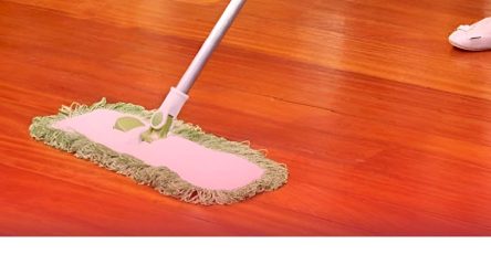 486602050 1064407145723860 1864544464860428859 n