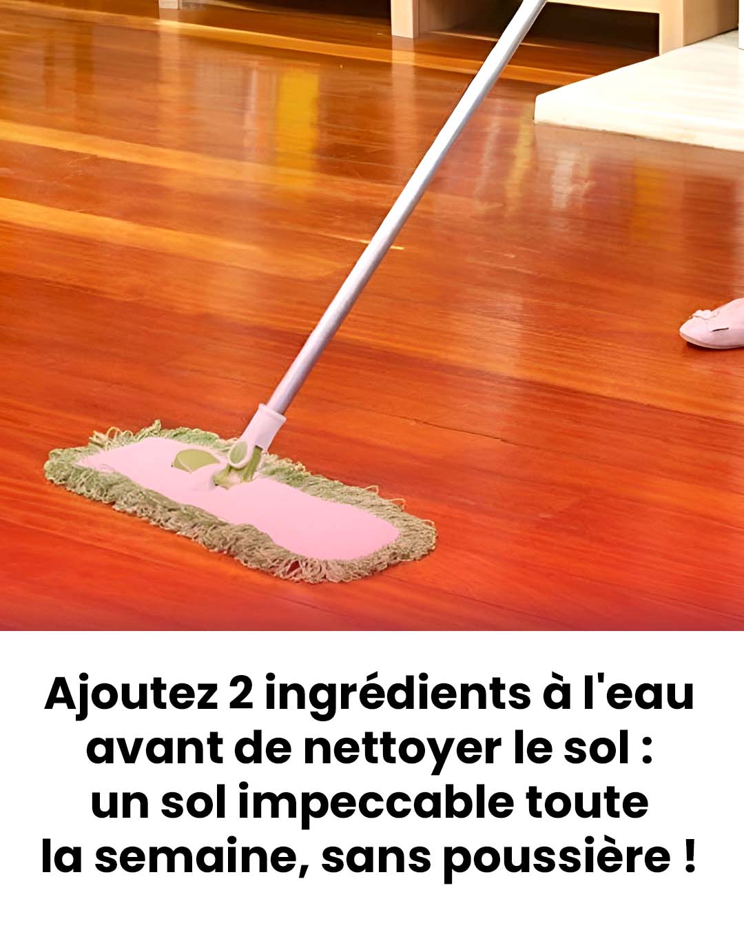 486602050 1064407145723860 1864544464860428859 n