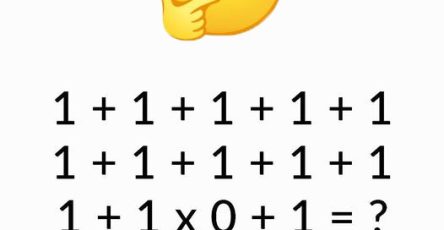 486610842 1063837355780839 6178008071487296578 n