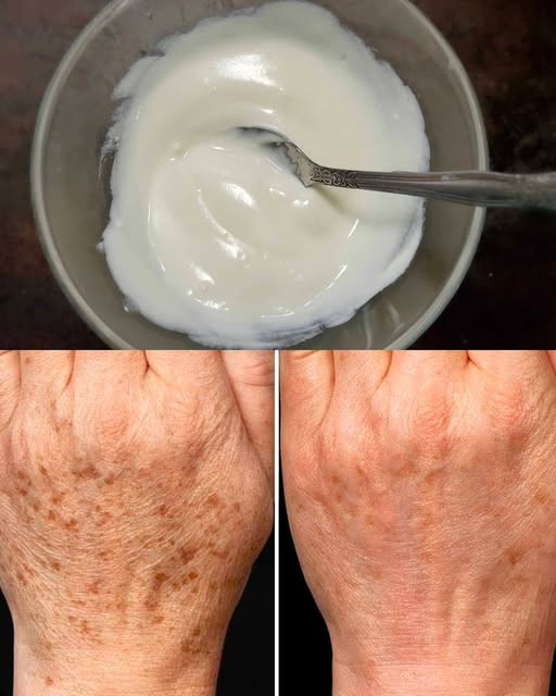 497649181 122231374112221426 8191337340239096984 n