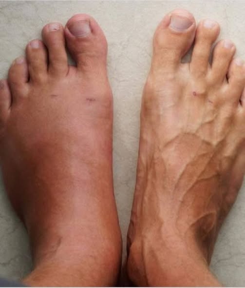 544426994 122186761184488388 8241676789917744275 n