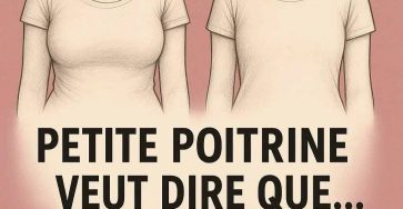 545162415 807942108330511 1963505502120199579 n