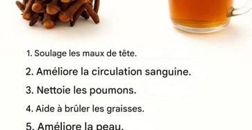 6017adca c016 4343 a532 0851b0b1ecdf 819x1024