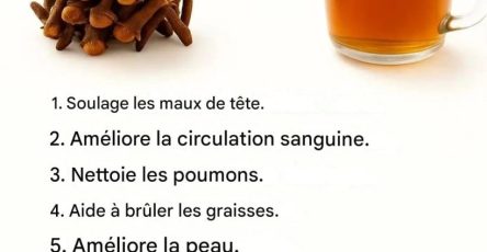 6017adca c016 4343 a532 0851b0b1ecdf 819x1024