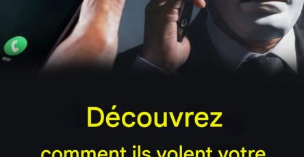 605774896 1433254964859865 8023125295009847888 n