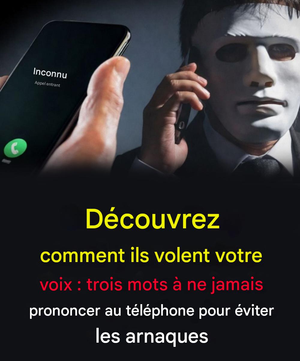 605774896 1433254964859865 8023125295009847888 n