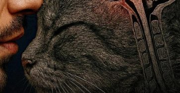 607137800 1431494025035959 8041937543122805303 n