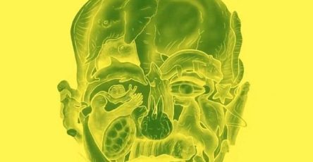 609045385 848022387861989 8231911728717385886 n