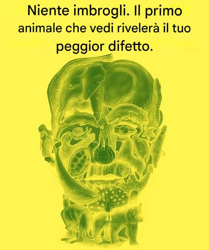 609045385 848022387861989 8231911728717385886 n