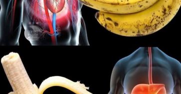 613720172 122236138964102037 2972303620044786712 n 1