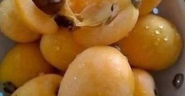 615209689 122236179842102037 1794783520481973111 n