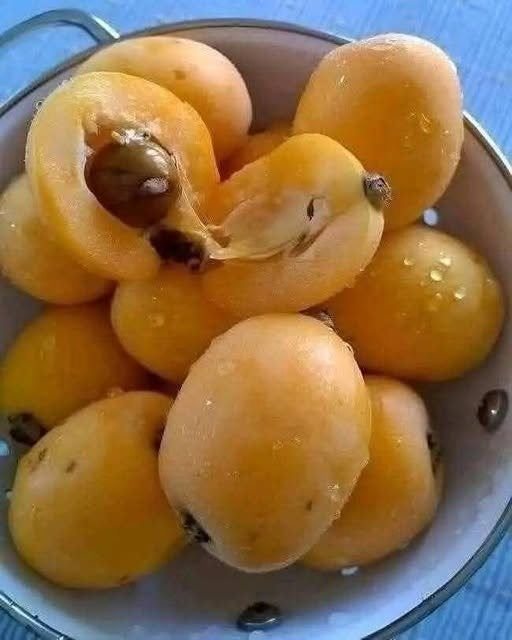 615209689 122236179842102037 1794783520481973111 n