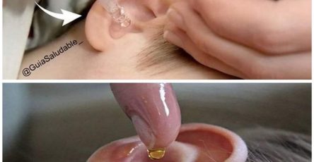 615918723 122110508079194396 8942393365121150930 n