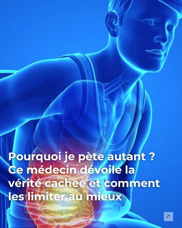 625215235 122163356738862001 923162703074488255 n