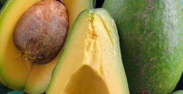 626464194 2225661161511695 717826210017643098 n