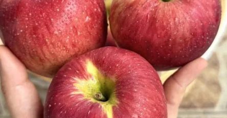 626541097 122111801607187113 3698096052871079578 n