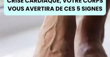 631467355 1646827773163496 1414022882191328090 n