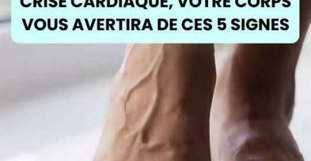 631467355 1646827773163496 1414022882191328090 n