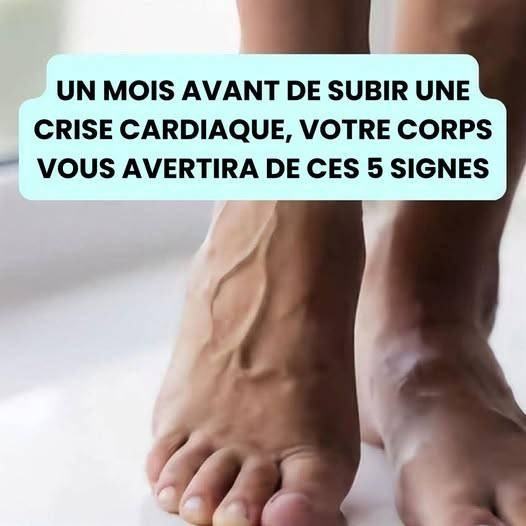 631467355 1646827773163496 1414022882191328090 n