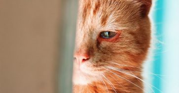 631782639 1611519413201926 326569067012204471 n