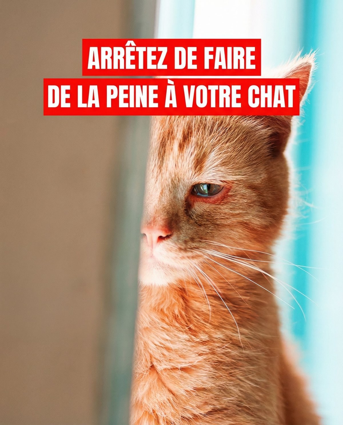 631782639 1611519413201926 326569067012204471 n