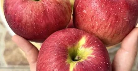 631887544 1481921686885614 3453445109013205186 n