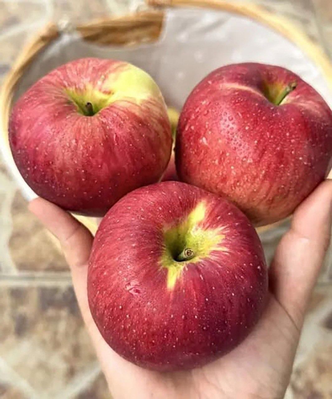 631887544 1481921686885614 3453445109013205186 n