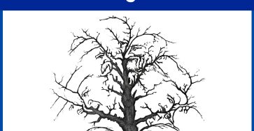 632632277 1334162615414977 4642922692401788900 n