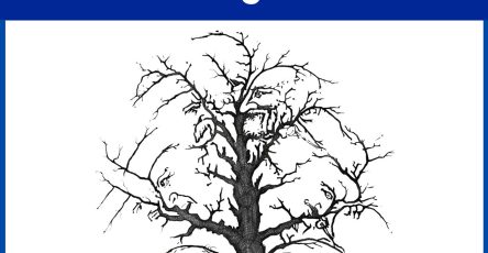 632632277 1334162615414977 4642922692401788900 n