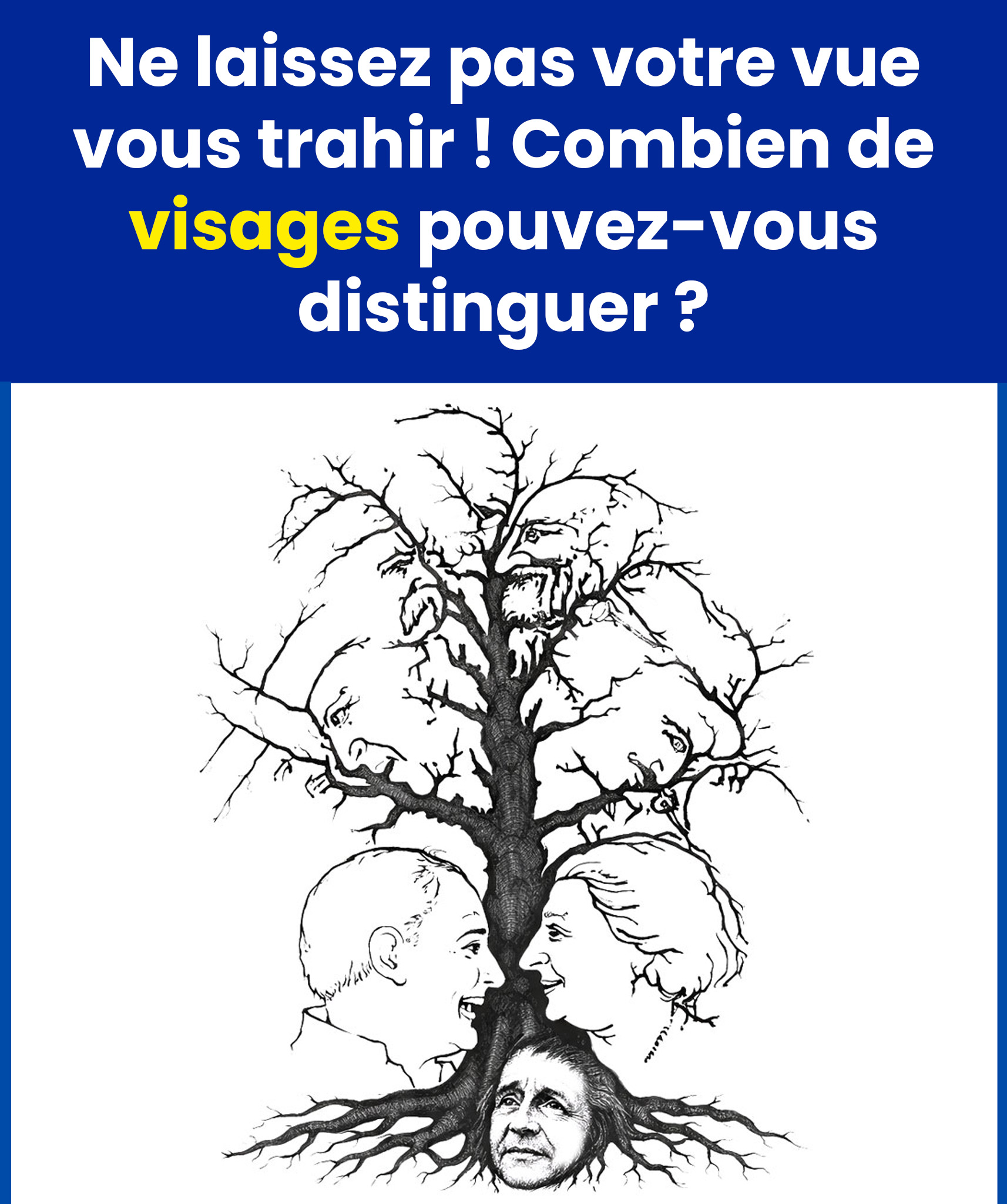 632632277 1334162615414977 4642922692401788900 n