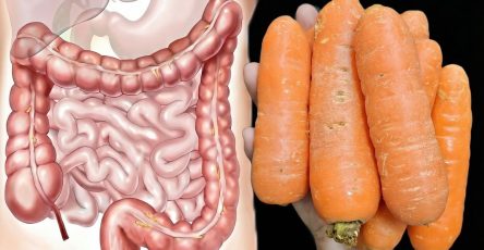 633743630 1322960719864373 7129750596791153344 n