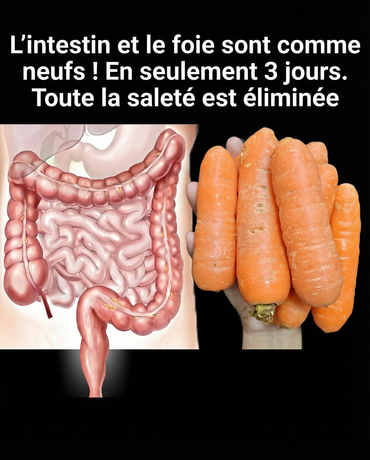 633743630 1322960719864373 7129750596791153344 n