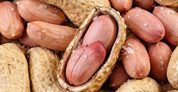 634866474 1340345508130021 7249204902118517305 n