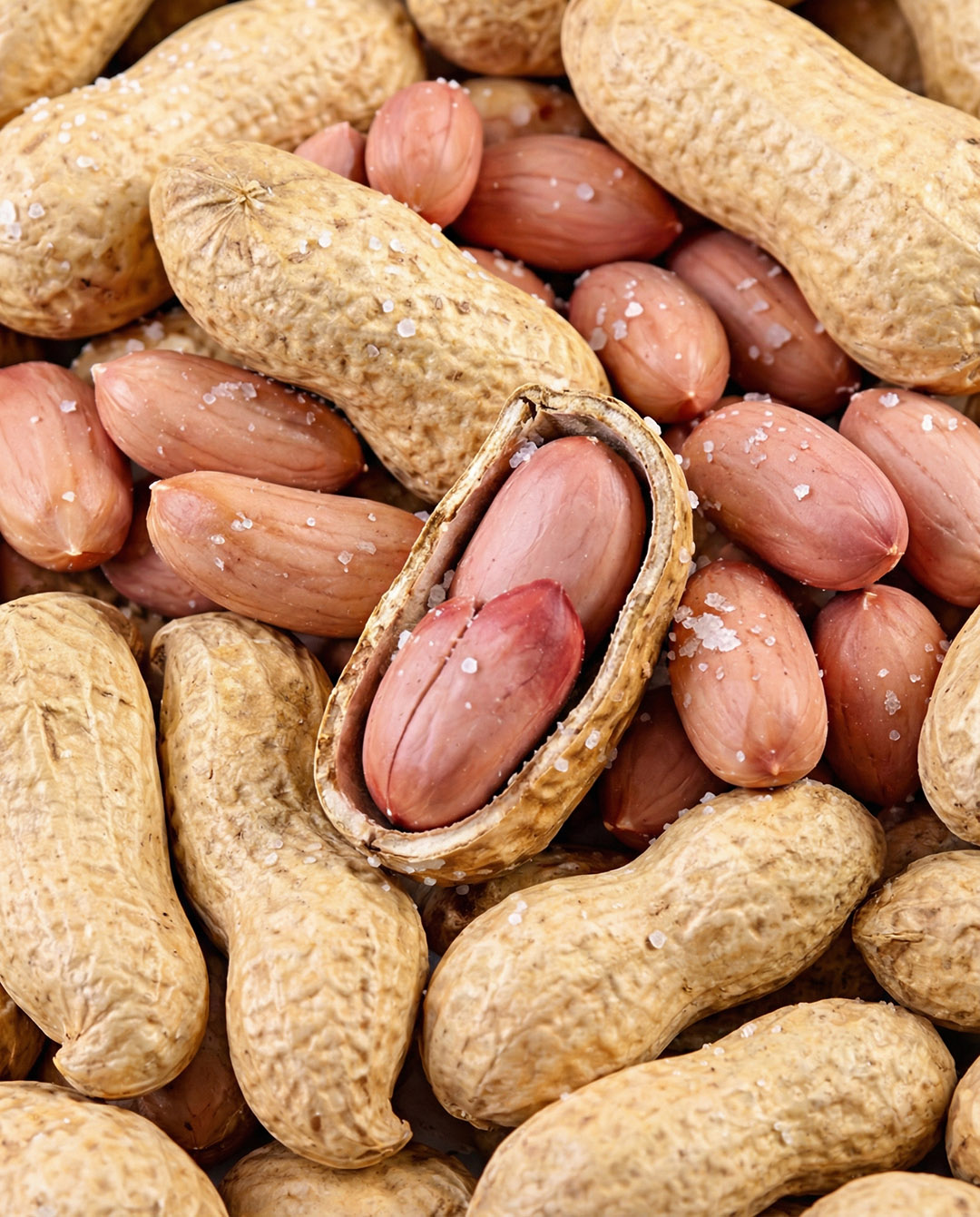 634866474 1340345508130021 7249204902118517305 n