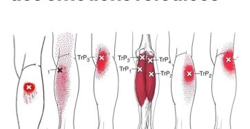 641442045 1841933923173722 714821415206991253 n