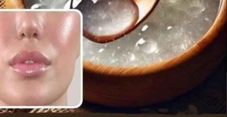 641445366 122259223412172889 2995344729493693763 n