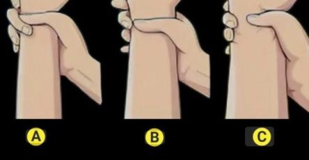 78a9f28d e8dc 48e0 ab31 7a6709e59743