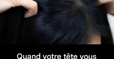 81342e0b 6f16 437a ab73 d97f86ed8c7e