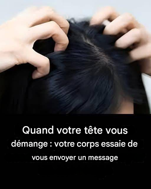 81342e0b 6f16 437a ab73 d97f86ed8c7e