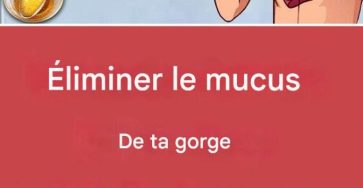 XX470048331 122146694642477614 9126419413019102608 n 1 271 1 683x1024