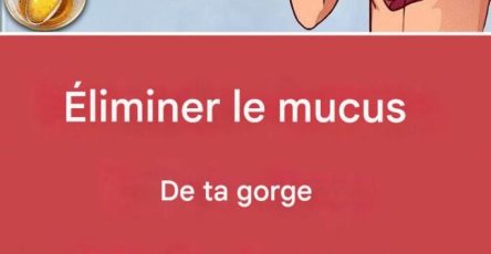 XX470048331 122146694642477614 9126419413019102608 n 1 271 1 683x1024