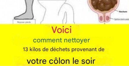 Ada991c8 7e76 479b 9af7 39770857490c