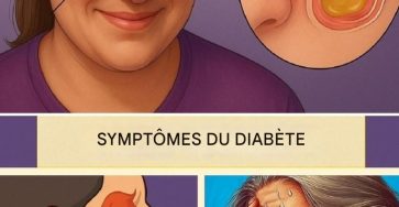 Eefb52b3 d224 45ee b643 a5994114b4ca